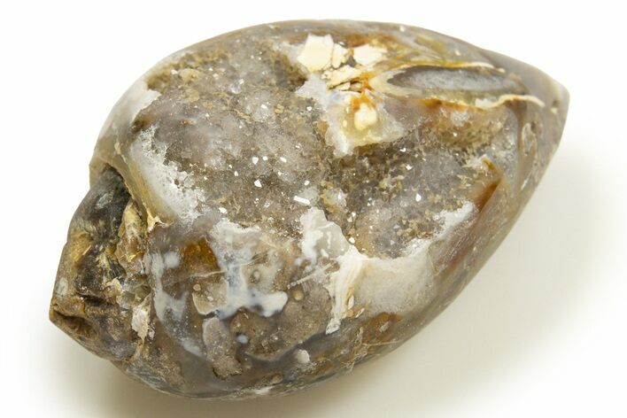 Chalcedony Replaced Gastropod With Sparkly Quartz - India #318719